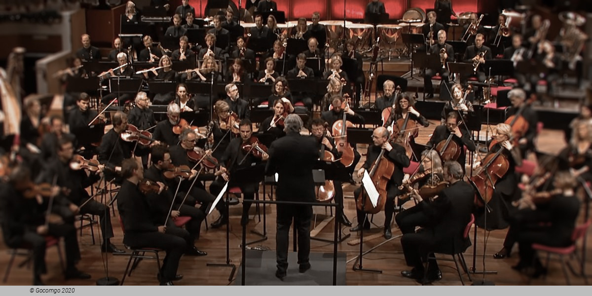 Close-up: Harpist Petra van der Heide, photo 1