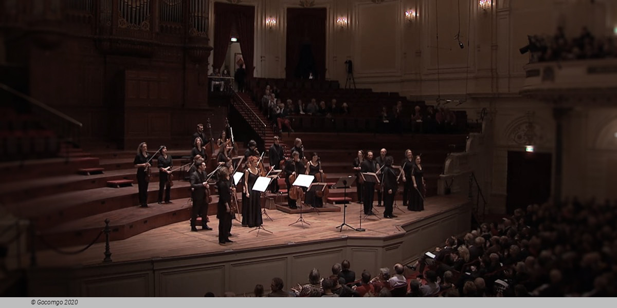 Children's Concert: Haren en snaren (4-5 yrs), photo 1