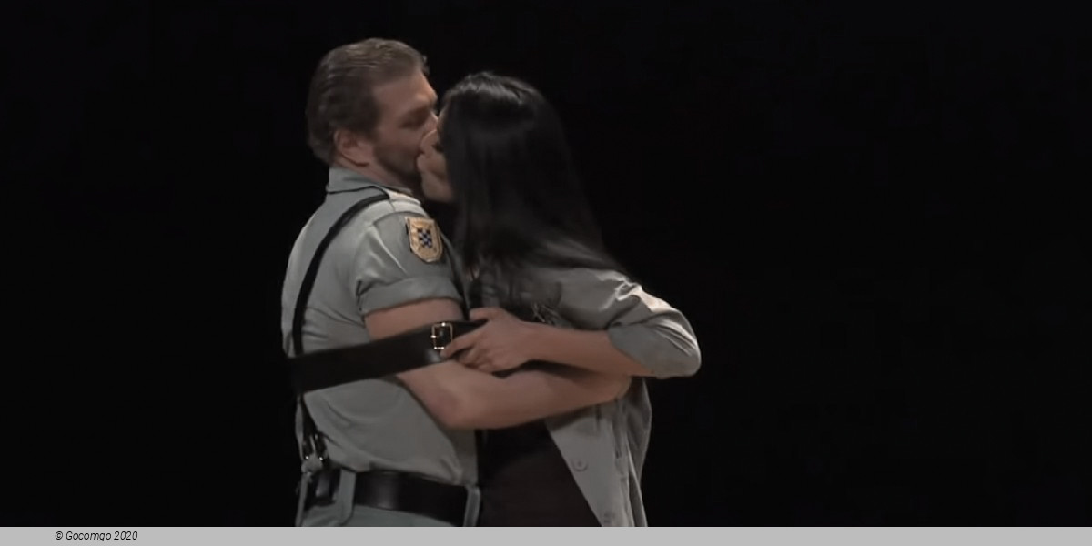 Carmen - a scenic concert, photo 6