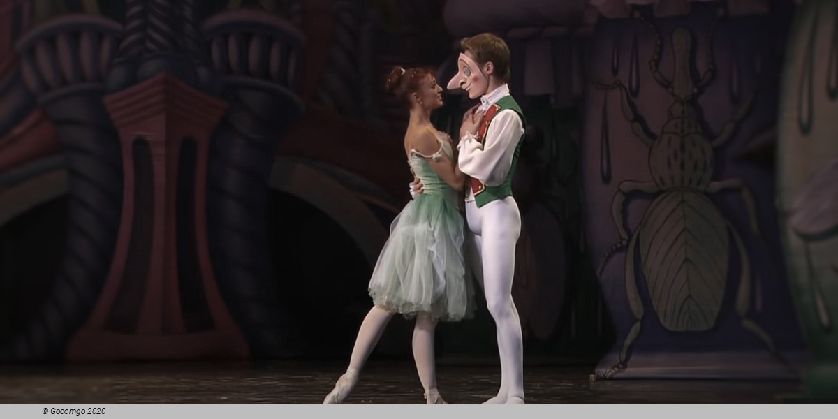 The Nutcracker, photo 1