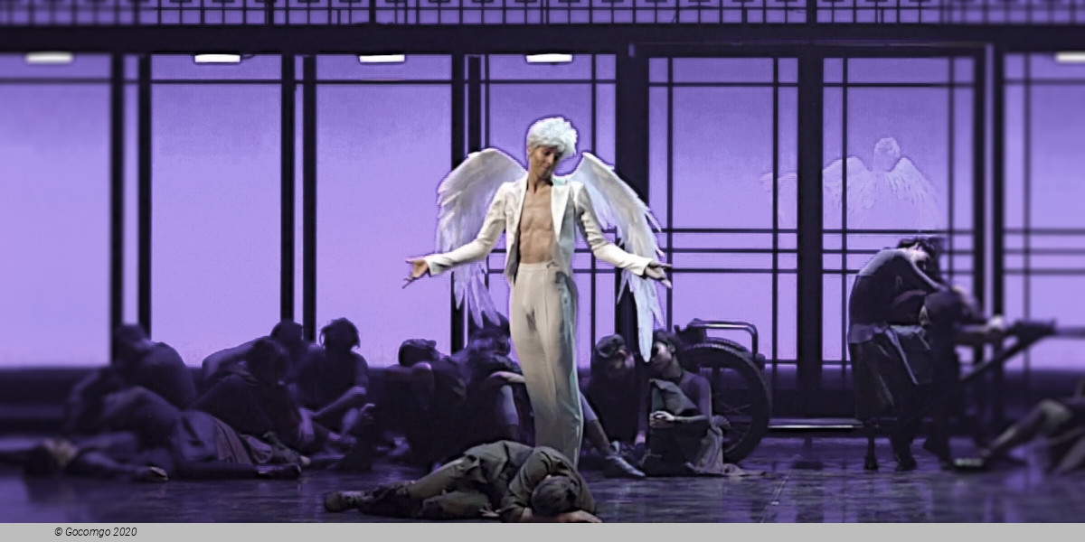 The Pygmalion Effect