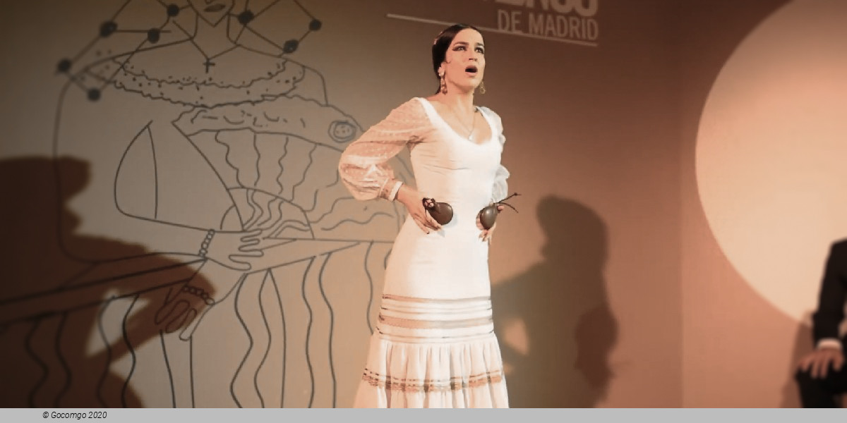 Scene 1 from the Traditional flamenco show "Viva Madrid Vivo"