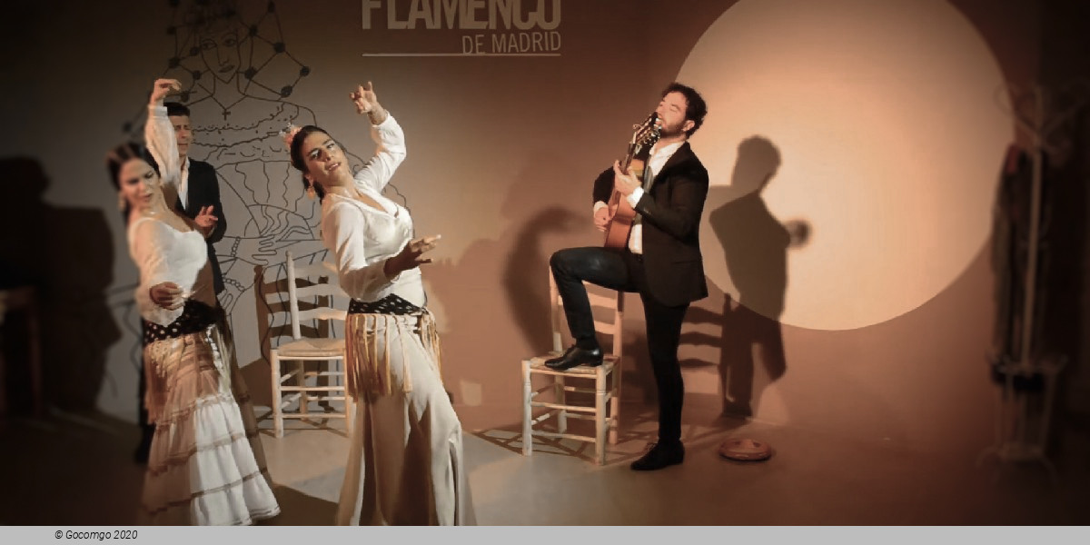 Scene 5 from the Traditional flamenco show "Viva Madrid Vivo"