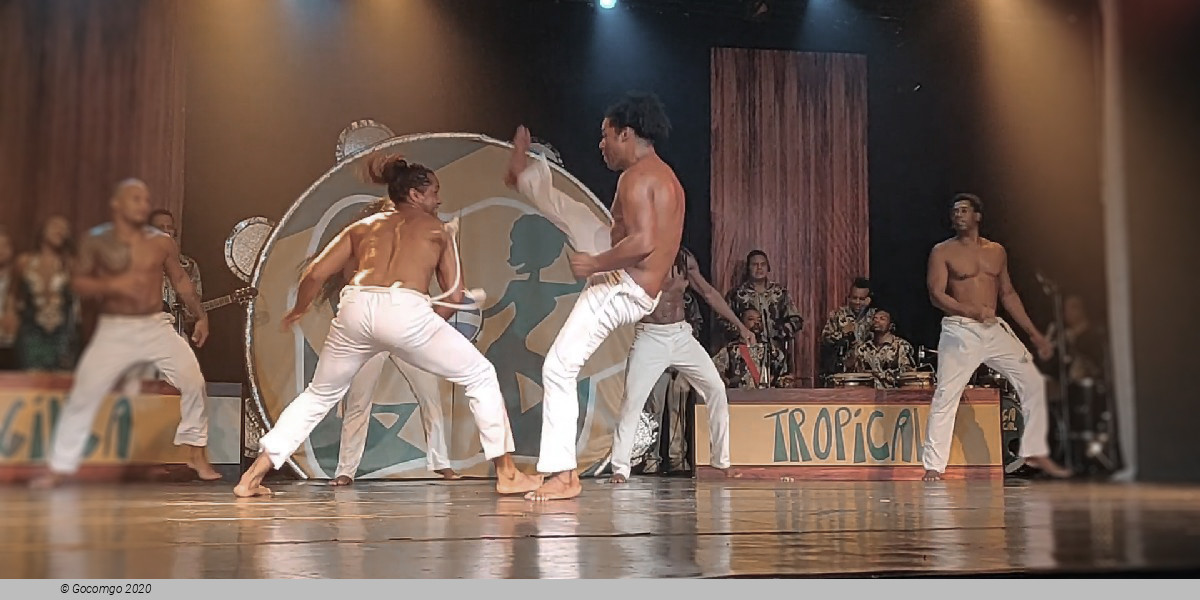 Scene 4 from the show "Ginga Tropical", photo 4