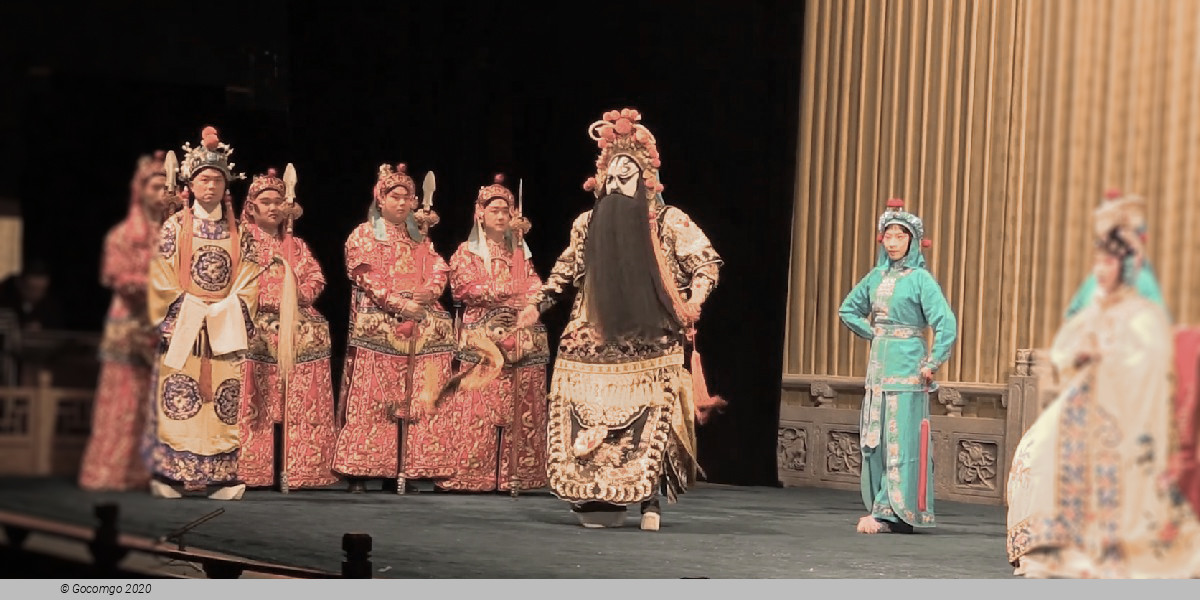 Scene 8 from the Peking Opera Show, photo 8