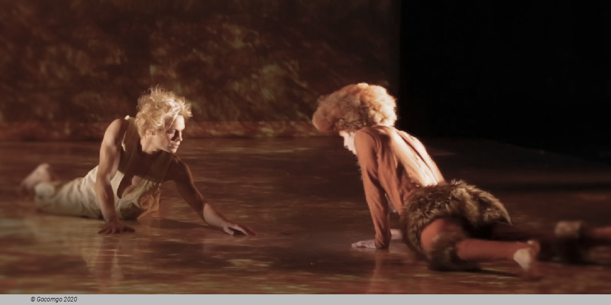 Scene 5 from the show "The Little Prince", photo 5