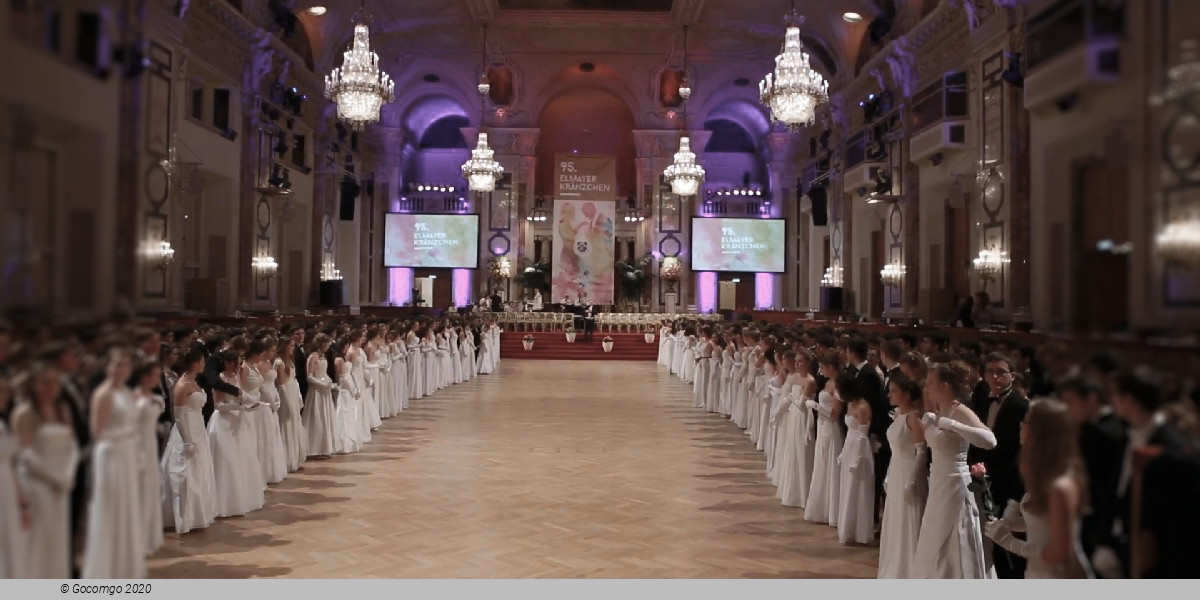 Vienna Philharmonic Ball, Photo 5