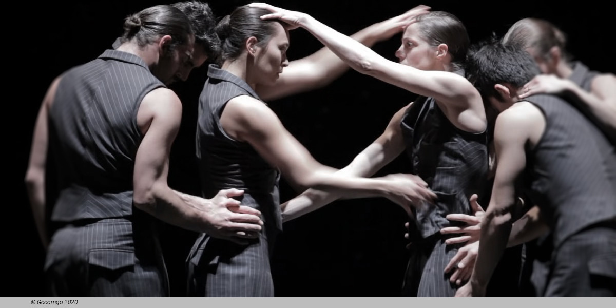 Scene 1 from the modern ballet "Solo Echo", photo 1