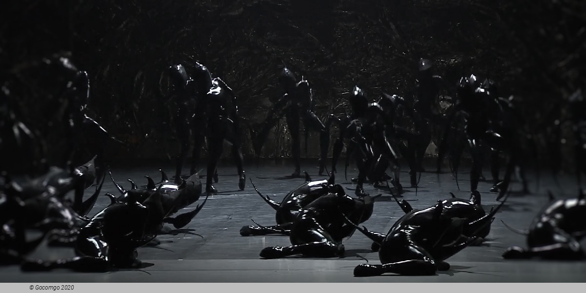 Scene 6 from the modern ballet "Body and Soul", photo 6