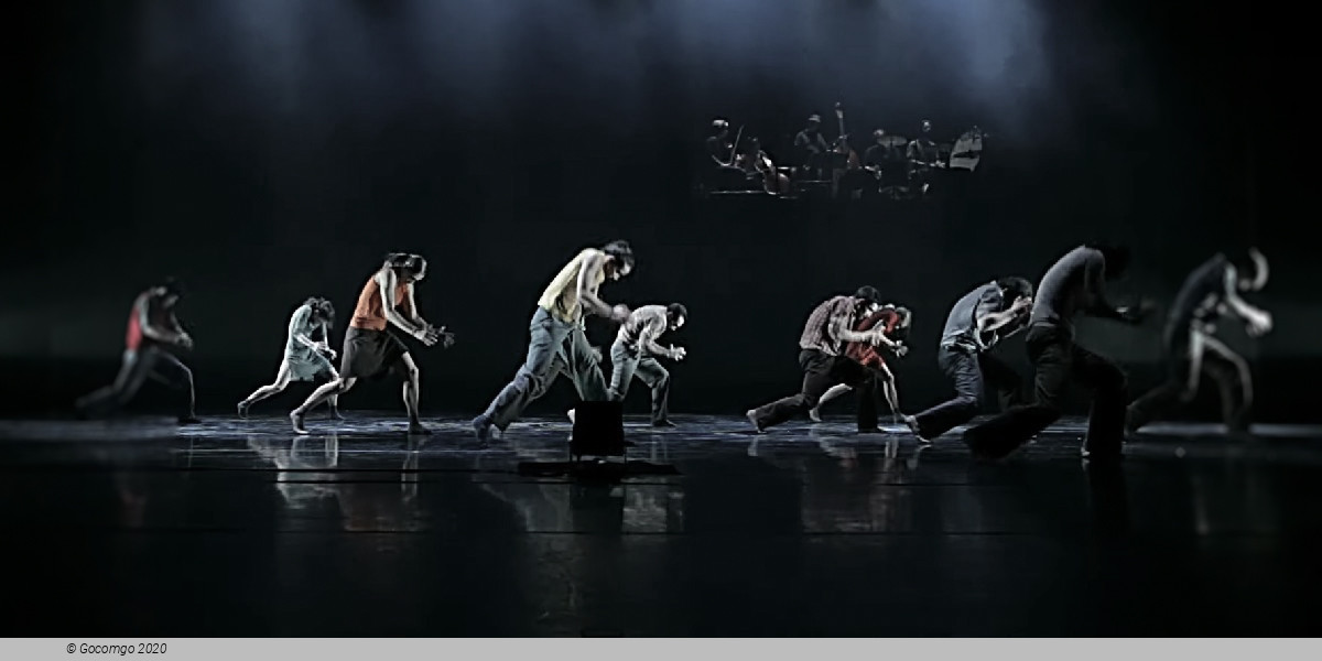 Scene 3 from the modern ballet "In your rooms", photo 4