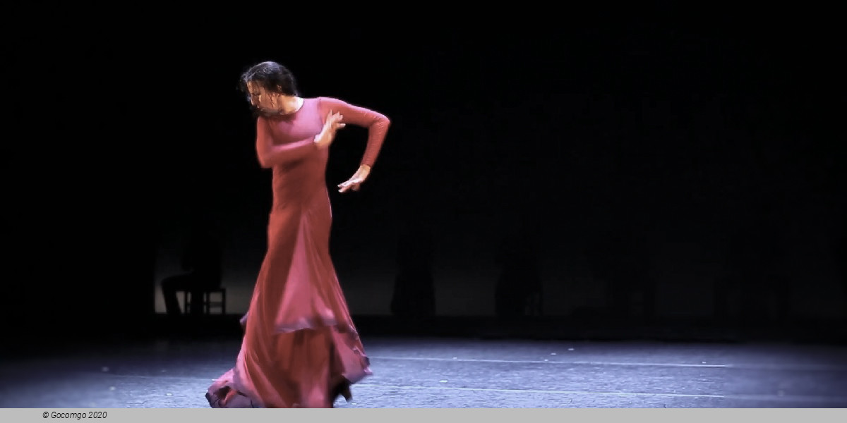 Scene 2 from the modern ballet "De Scheherazade a yo, Carmen", photo 3