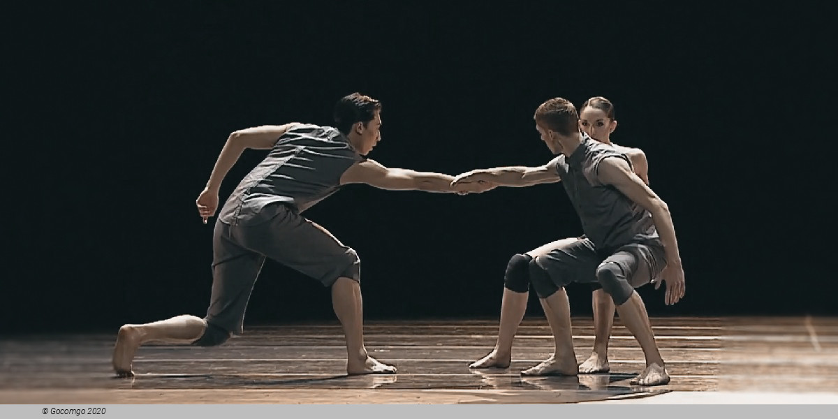 Scene 4 from the modern ballet "Broken Fall", photo 4