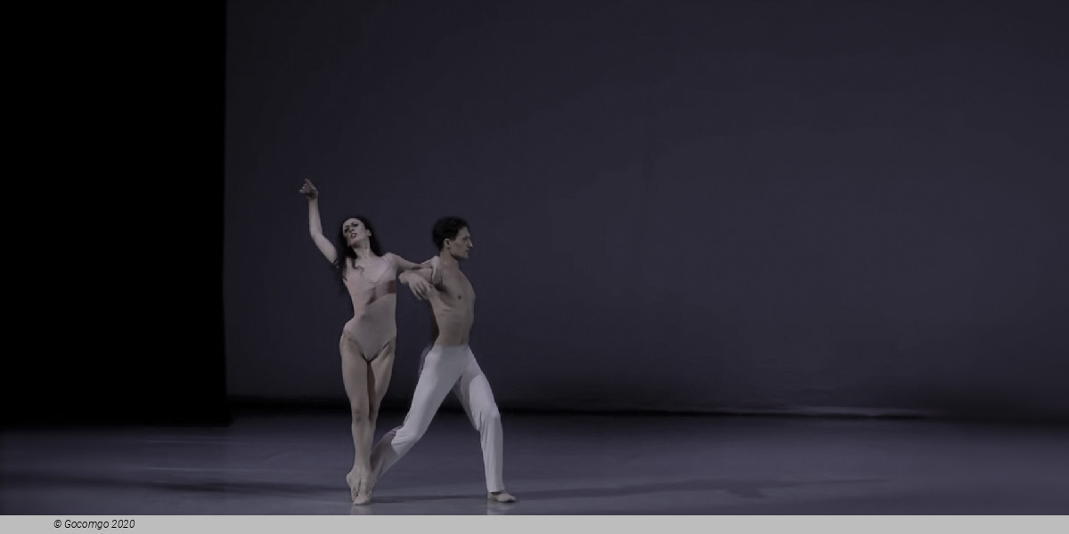 Scene 1 from the modern ballet "After the Rain Pas de deux", photo 4