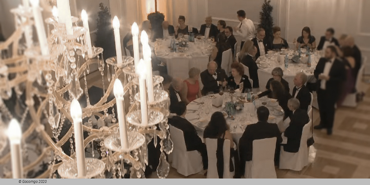 Johann Strauss Ball, photo 5, photo 6