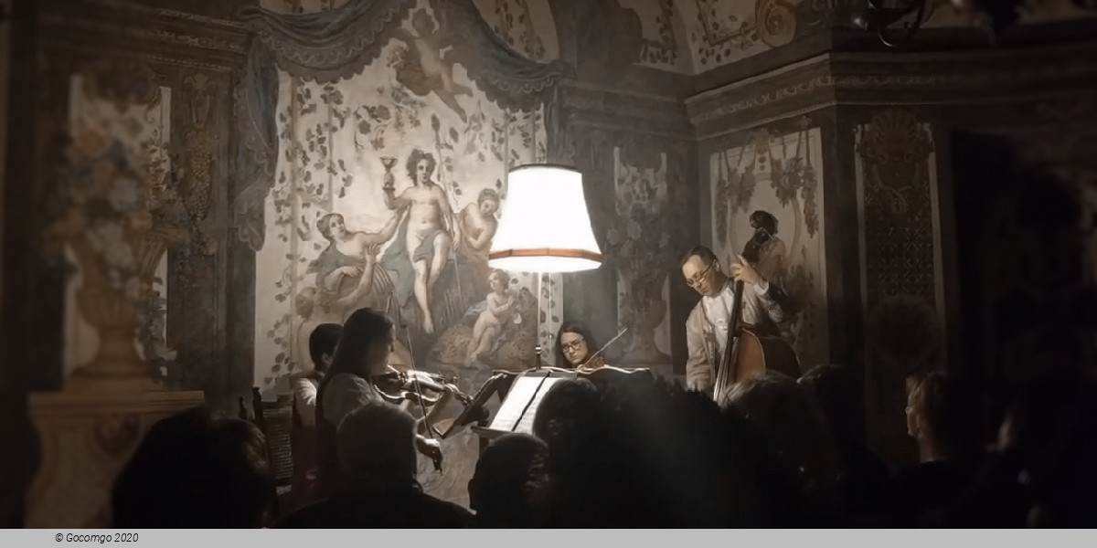 Mozart Ensemble Vienna, photo 1, photo 1