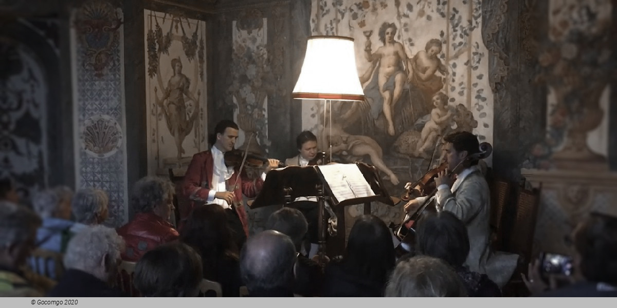 Mozart Ensemble Vienna, photo 3, photo 3