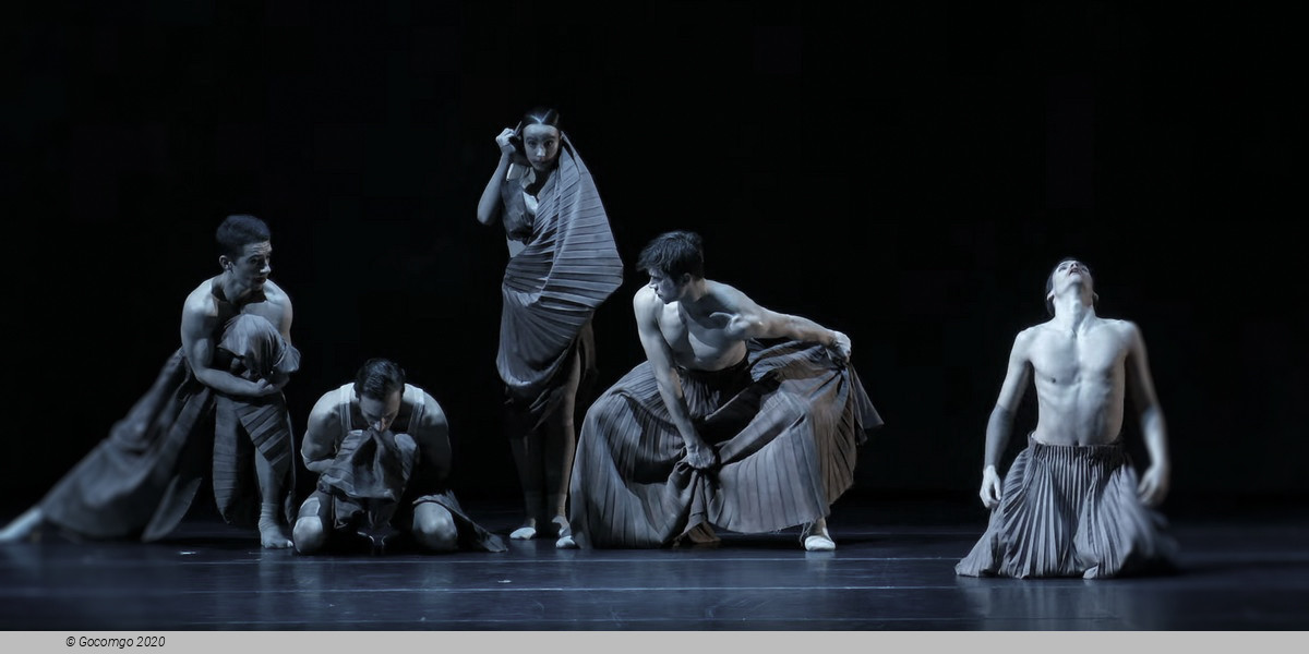 Scene 4 from the evening of modern ballets "Begegnungen", photo 4