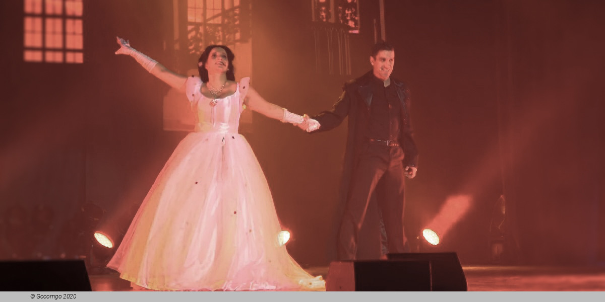 Scene 5 from the show "The Night of the Musicals", photo 1