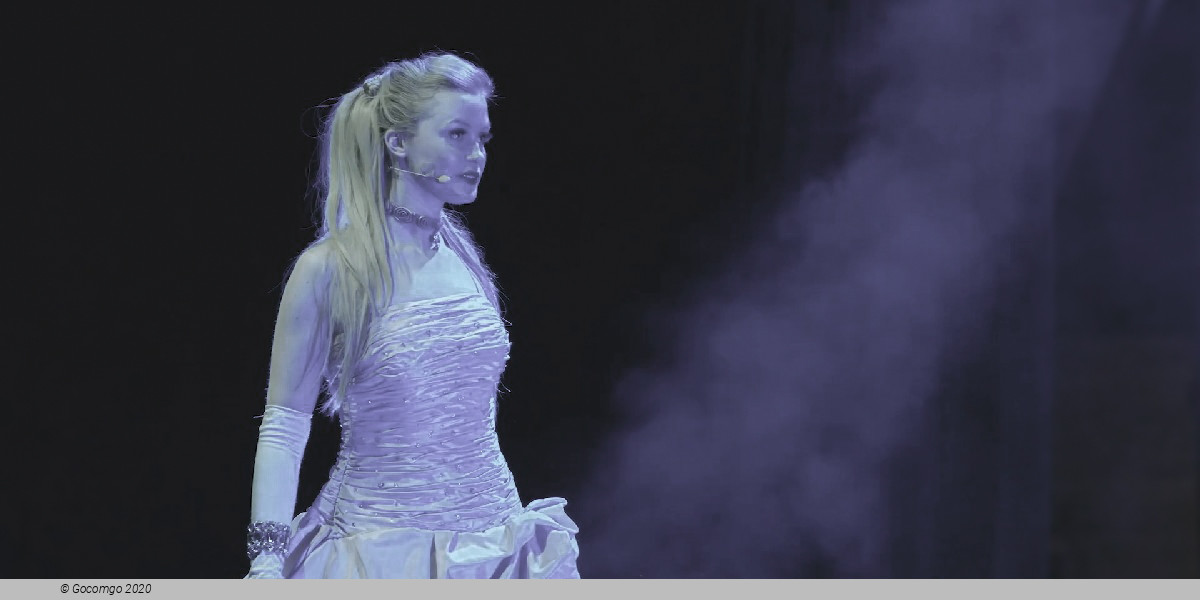 Scene 1 from the show "The Andrew Lloyd Webber Musical Gala", photo 2