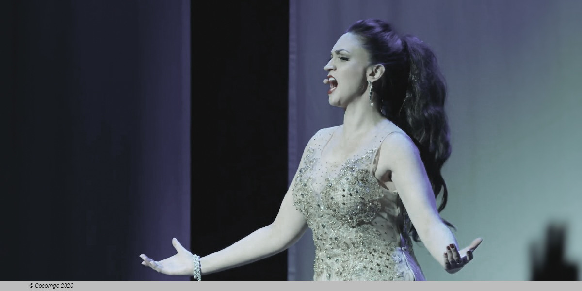 Scene 3 from the show "The Andrew Lloyd Webber Musical Gala", photo 3