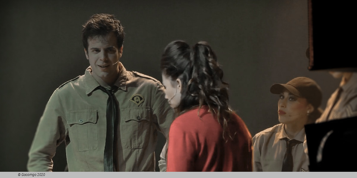 Scene 5 from the musical "Elvis", photo 6