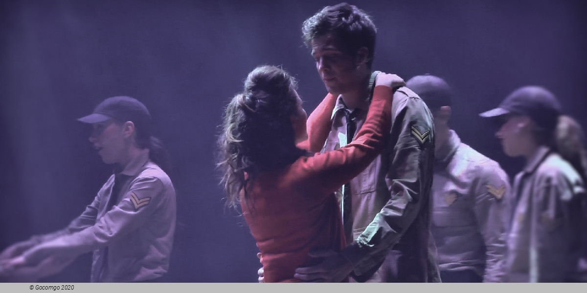 Scene 8 from the musical "Elvis", photo 8