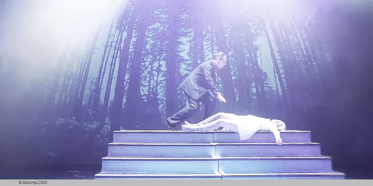 Scene 3 from the musical "Falco", photo 4