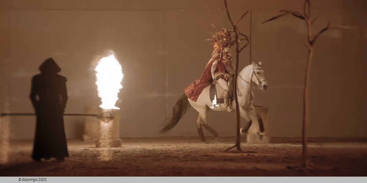 Scene 8 from the show "Cavalluna", photo 8