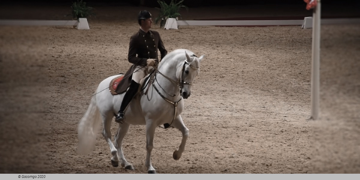 Scene 1 from the show "Spanish Riding School - Performance", photo 2