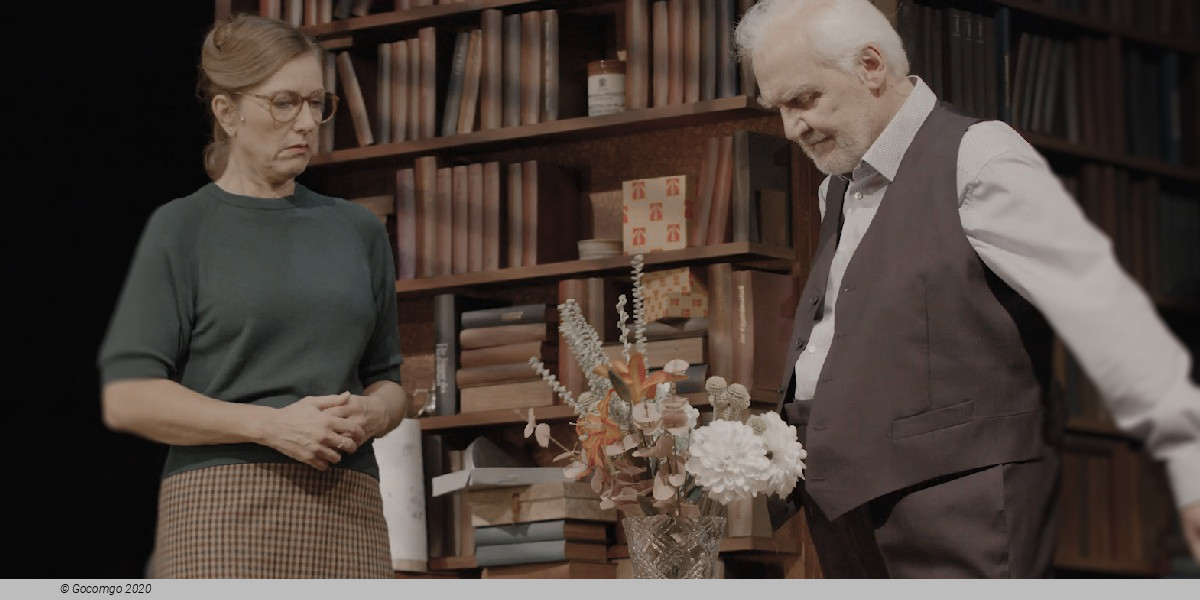 Scene 5 from the play "Mr. Pierre goes online", photo 5