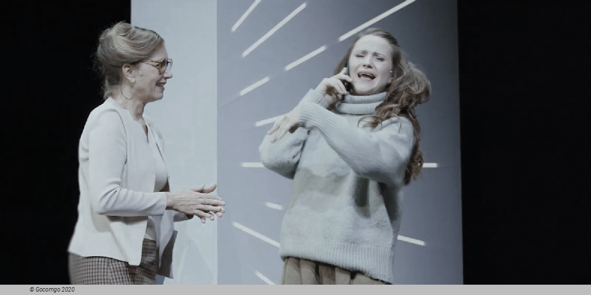 Scene 6 from the play "Mr. Pierre goes online", photo 6