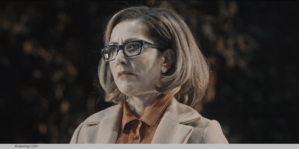 Scene 2 from the play "The Parisian Woman", photo 3