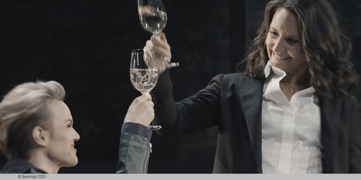 Scene 4 from the play "The Parisian Woman", photo 5