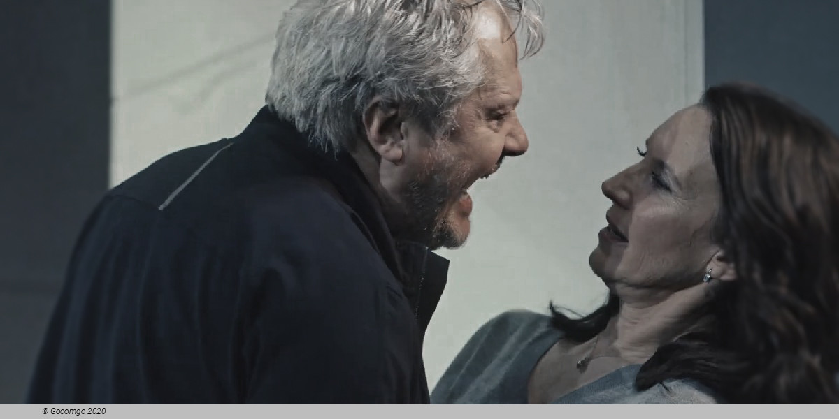 Scene 7 from the play "The Parisian Woman", photo 7