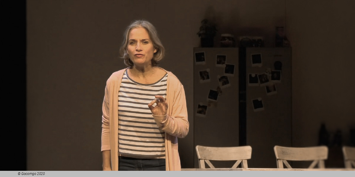 Scene 4 from the play "Family Night", photo 5