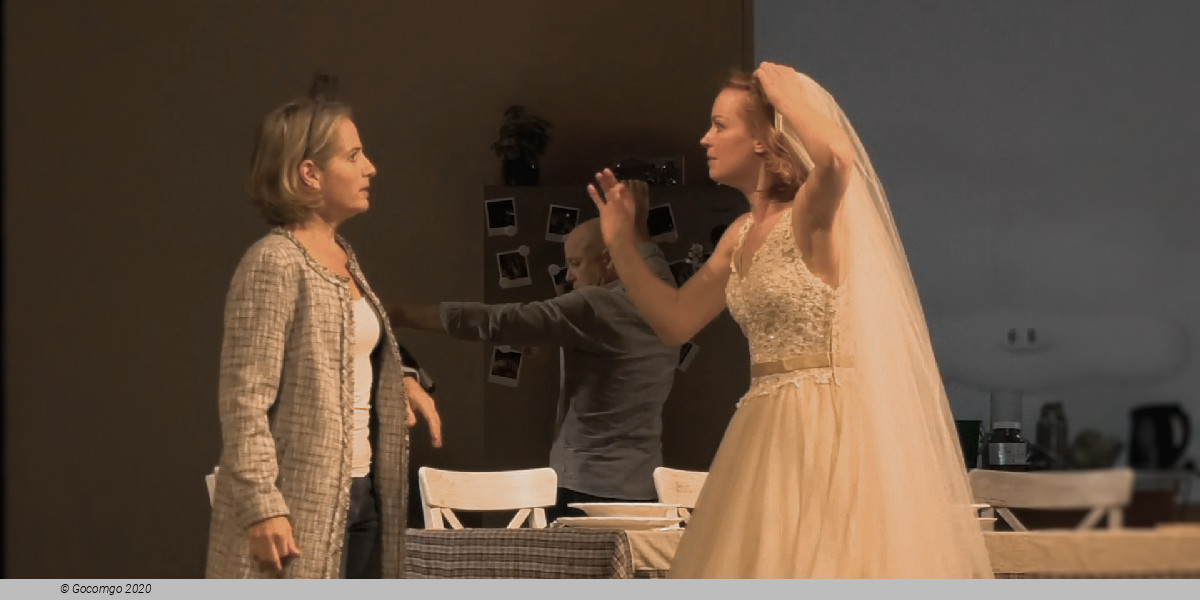 Scene 5 from the play "Family Night", photo 6