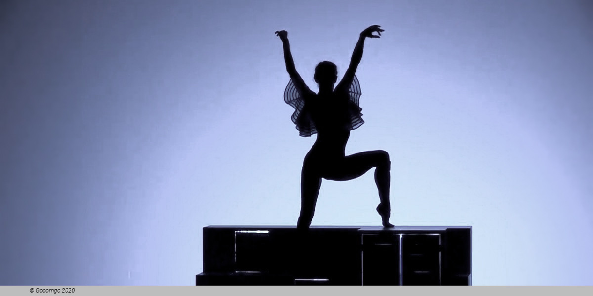 Ballet company of the Salzburg State Theatre, photo 1