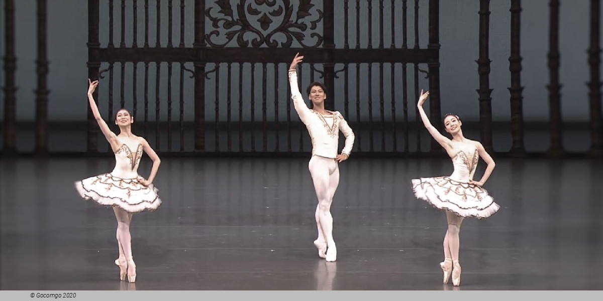 The National Ballet of Japan, photo 1