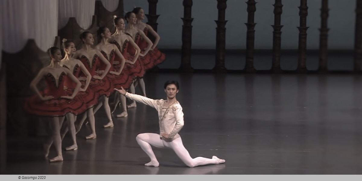 The National Ballet of Japan, photo 5