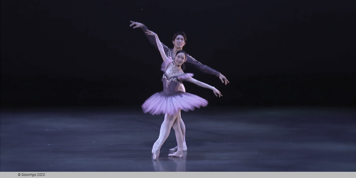 The National Ballet of Japan, photo 6