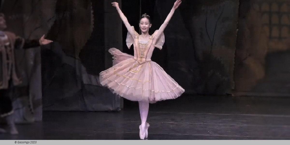 Ballet Icons Gala, photo 1, photo 2