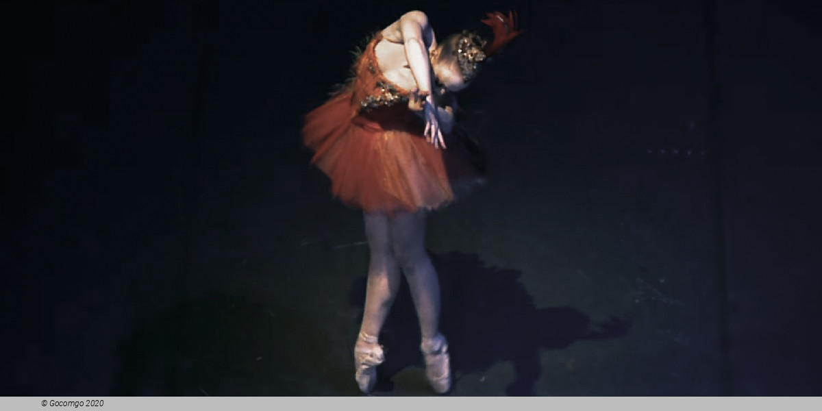 Ballet Icons Gala, photo 4, photo 1