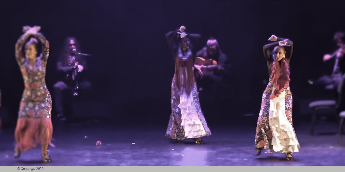 Scene 1 from the show "Flamenco Passion", photo 2