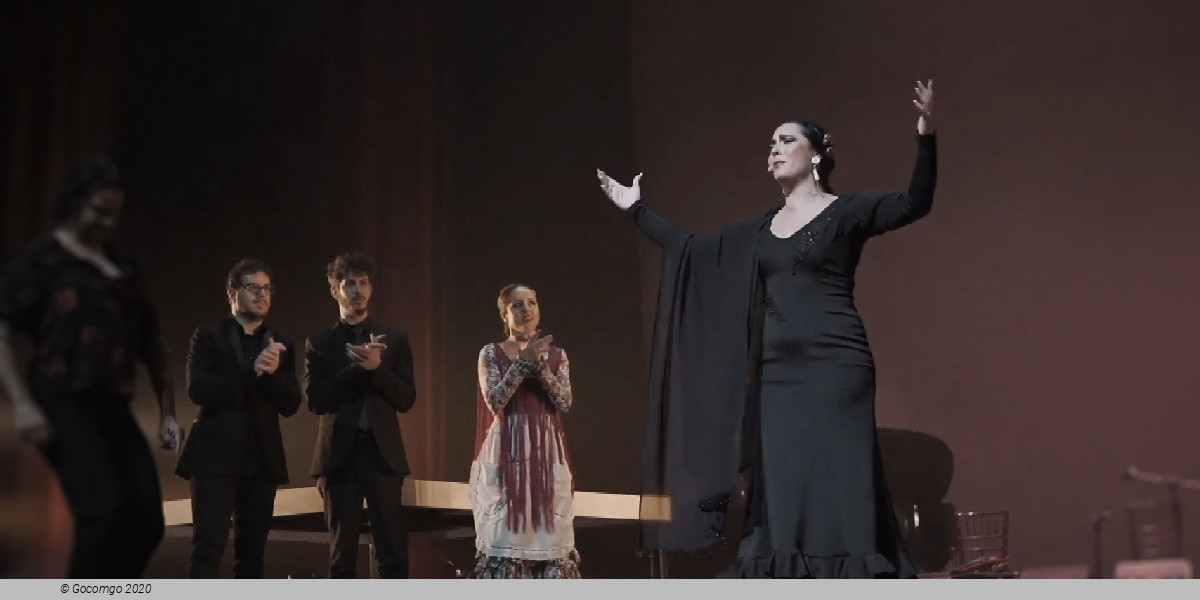 Scene 3 from the show "Flamenco Passion", photo 1