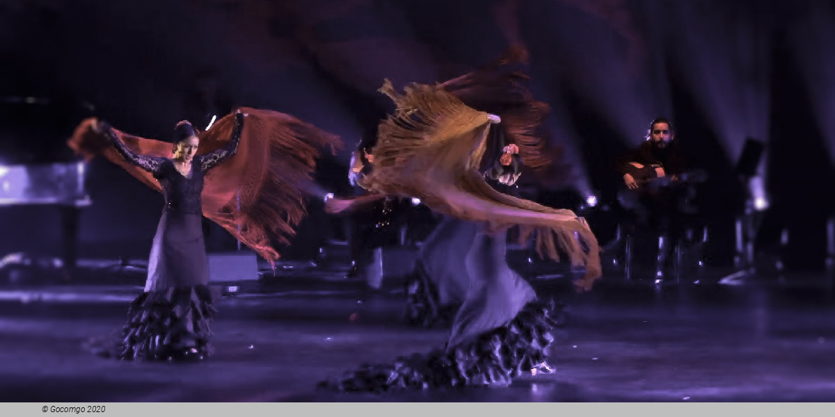 Scene 4 from the show "Flamenco Passion", photo 4