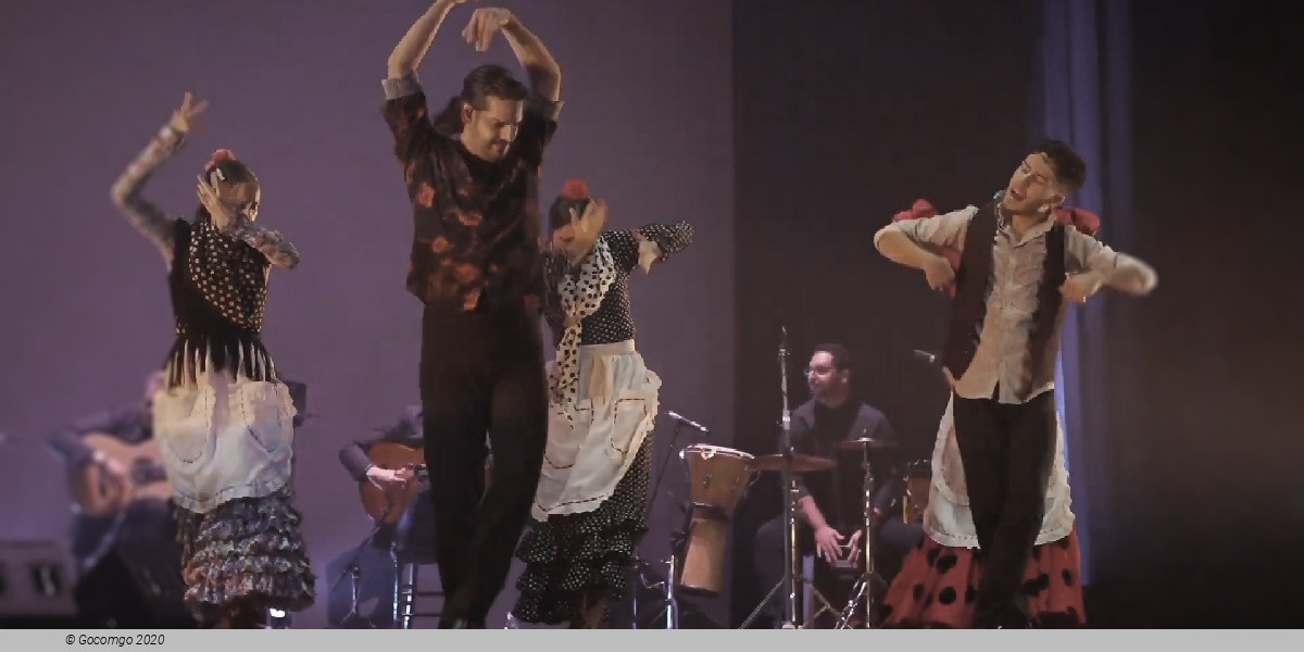 Scene 5 from the show "Flamenco Passion", photo 5