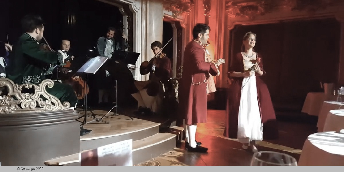 Mozart Dinner Concert, photo 4, photo 1