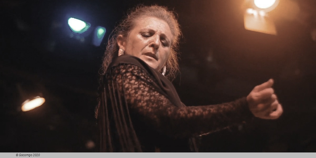 Flamenco Show in Barcelona, photo 6, photo 6