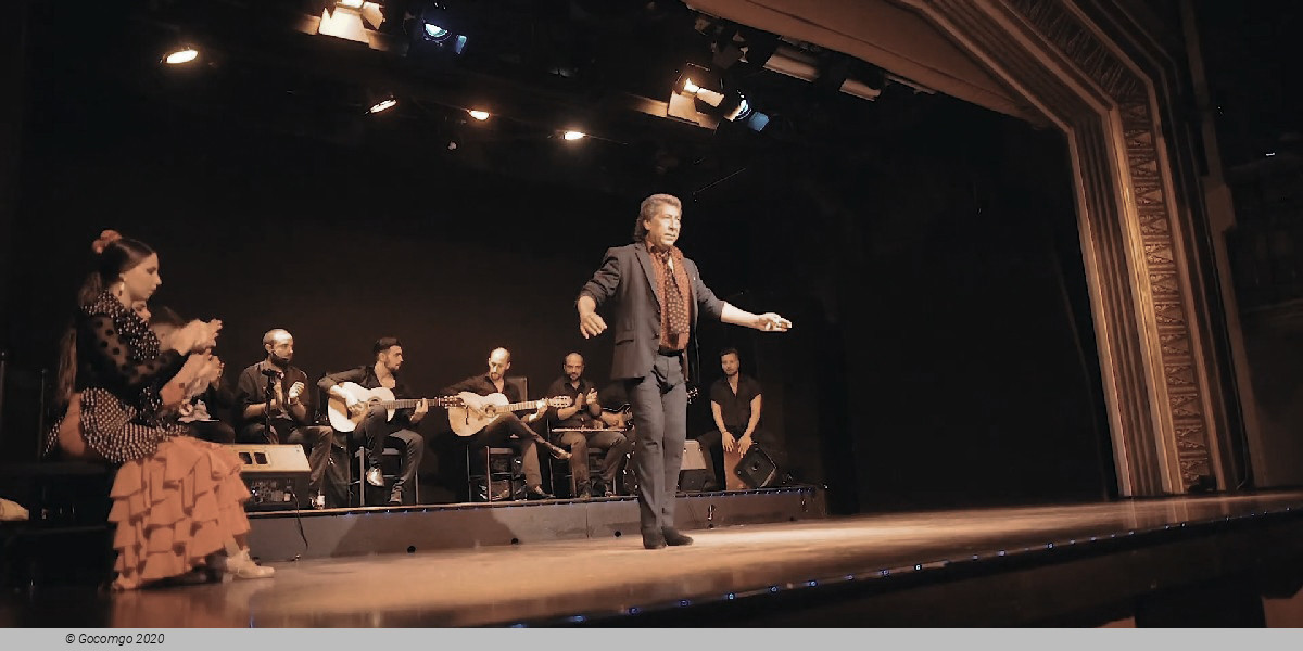 Flamenco Show in Barcelona, photo 8, photo 8