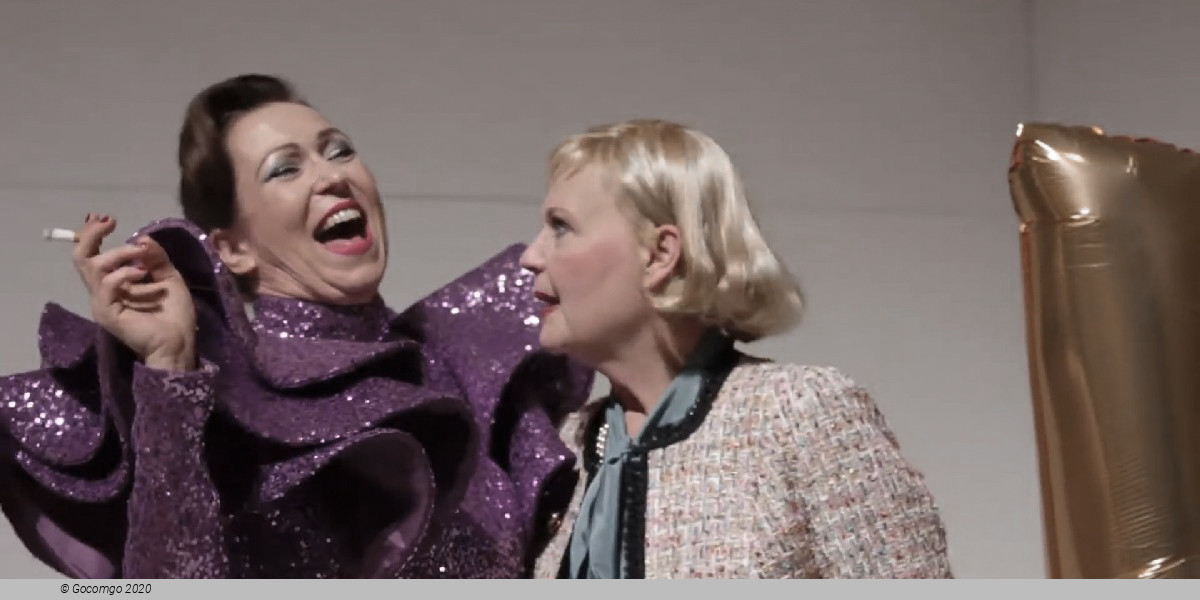 Scene 4 from the play "Lunch at Wittgenstein", photo 4